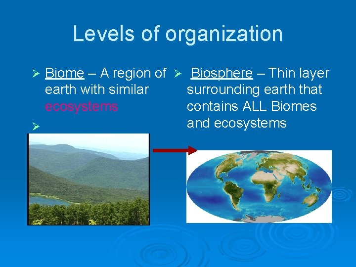 Levels of organization Biome – A region of Ø Biosphere – Thin layer earth