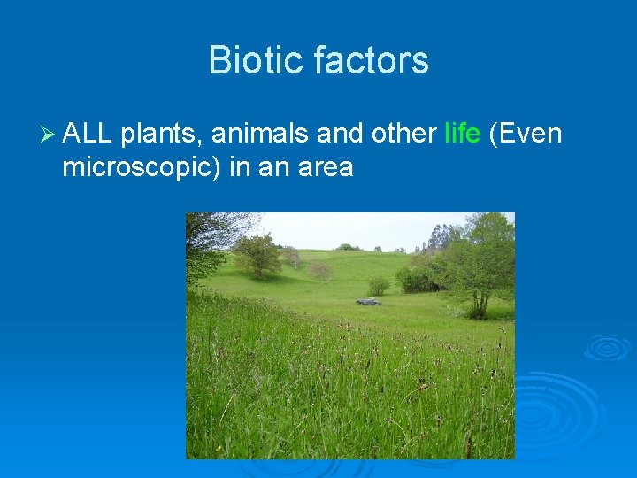 Biotic factors Ø ALL plants, animals and other microscopic) in an area life (Even