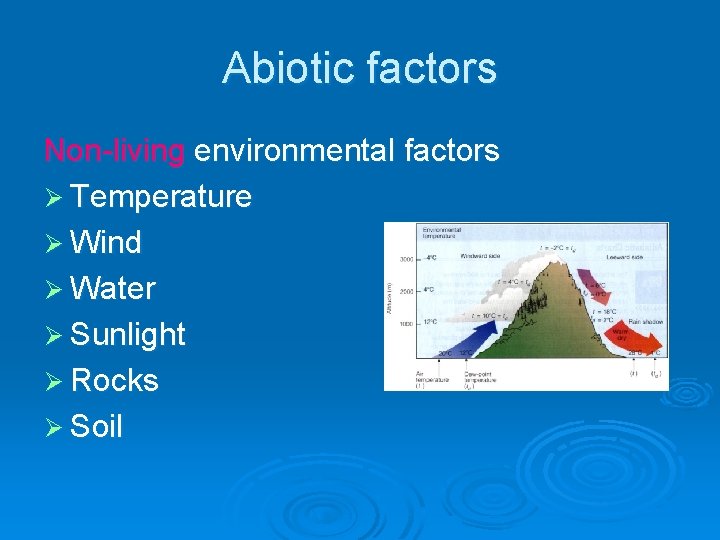 Abiotic factors Non-living environmental factors Ø Temperature Ø Wind Ø Water Ø Sunlight Ø