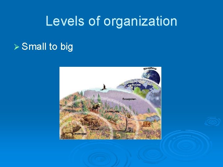 Levels of organization Ø Small to big 