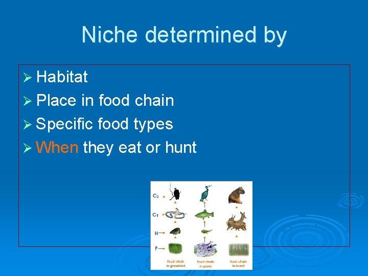 Niche determined by Ø Habitat Ø Place in food chain Ø Specific food types