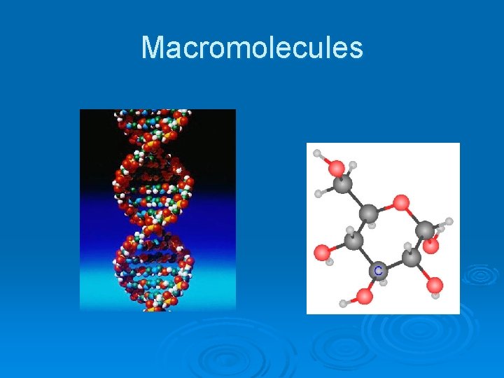 Macromolecules 