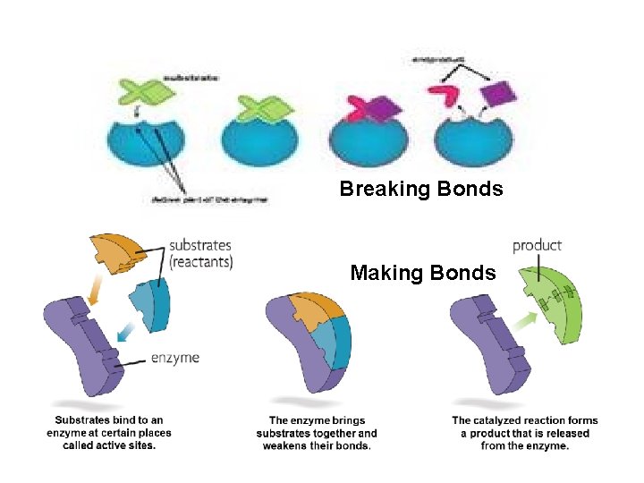 Breaking Bonds Making Bonds 