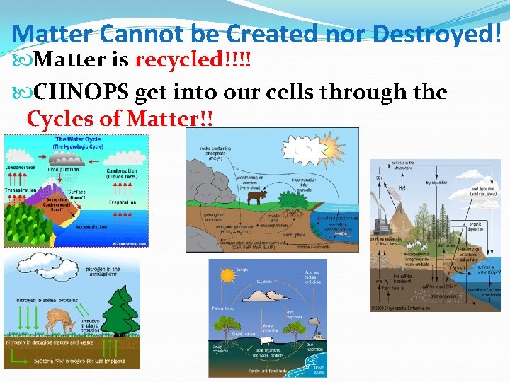 Matter Cannot be Created nor Destroyed! Matter is recycled!!!! CHNOPS get into our cells