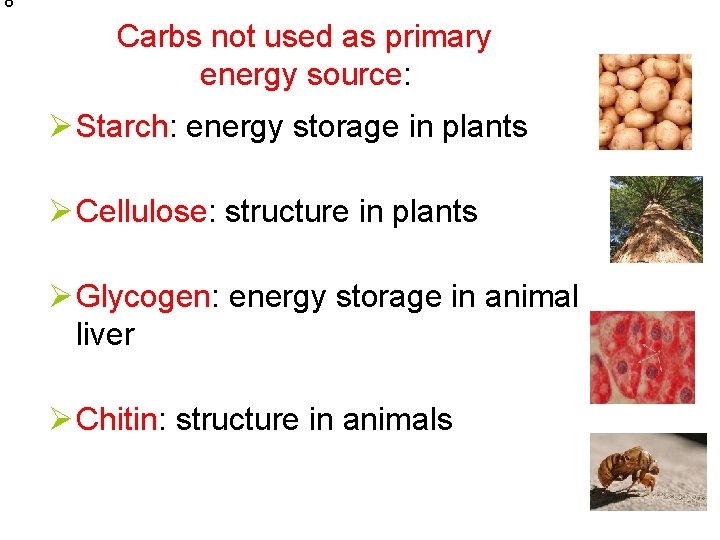 8 Carbs not used as primary energy source: Ø Starch: energy storage in plants