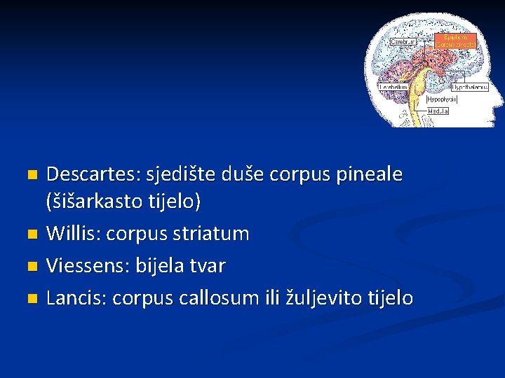 Descartes: sjedište duše corpus pineale (šišarkasto tijelo) n Willis: corpus striatum n Viessens: bijela