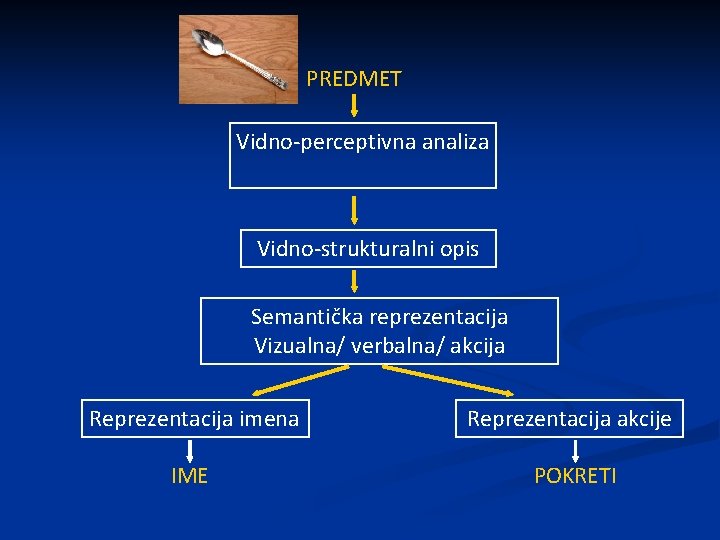 PREDMET Vidno-perceptivna analiza Vidno-strukturalni opis Semantička reprezentacija Vizualna/ verbalna/ akcija Reprezentacija imena Reprezentacija akcije
