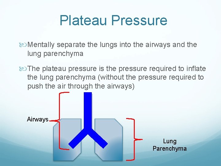 Plateau Pressure Mentally separate the lungs into the airways and the lung parenchyma The