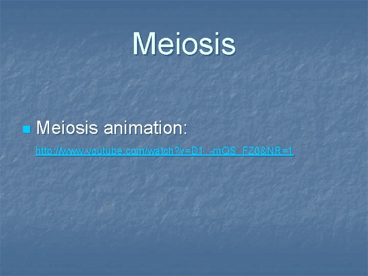 Meiosis n Meiosis animation: http: //www. youtube. com/watch? v=D 1_-m. QS_FZ 0&NR=1 