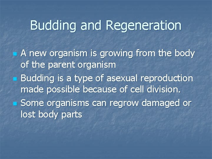 Budding and Regeneration n A new organism is growing from the body of the