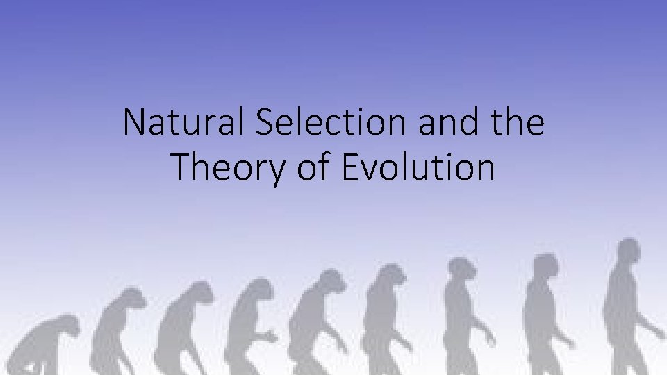 Natural Selection and the Theory of Evolution 