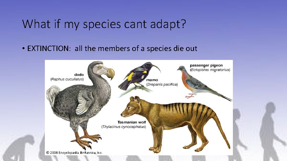 What if my species cant adapt? • EXTINCTION: all the members of a species