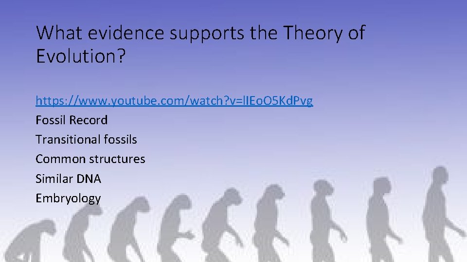What evidence supports the Theory of Evolution? https: //www. youtube. com/watch? v=l. IEo. O