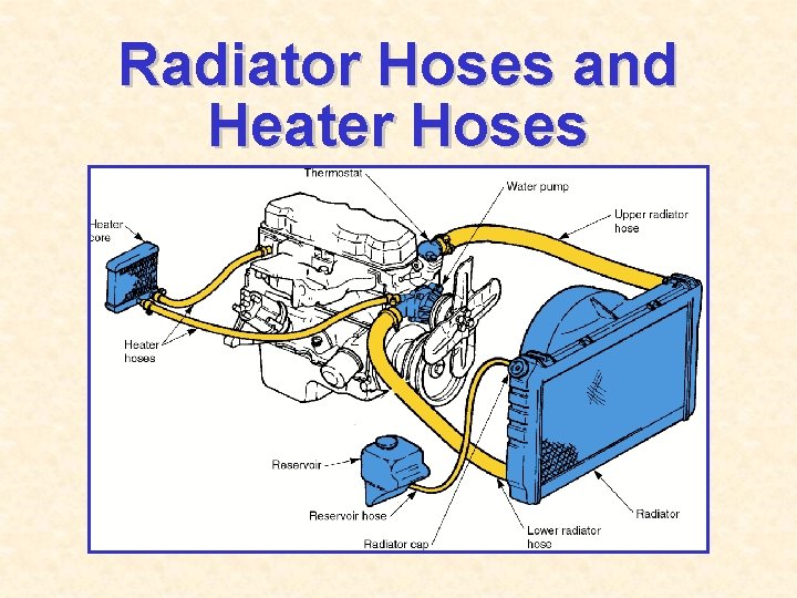 Radiator Hoses and Heater Hoses 