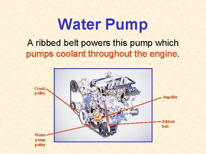 Water Pump A ribbed belt powers this pump which pumps coolant throughout the engine