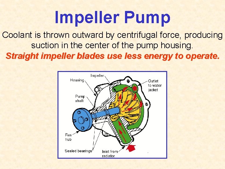 Impeller Pump Coolant is thrown outward by centrifugal force, producing suction in the center