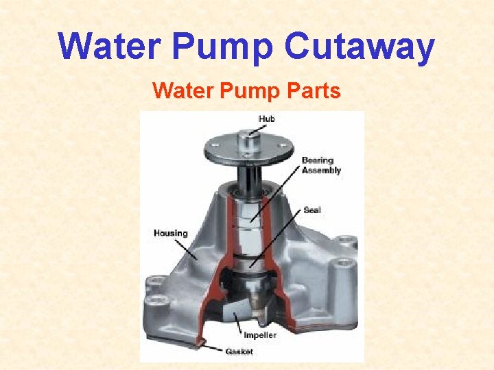 Water Pump Cutaway Water Pump Parts 