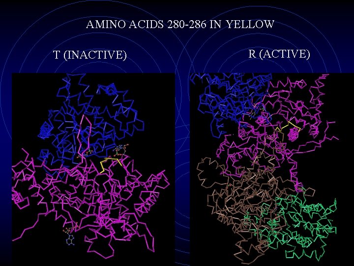 AMINO ACIDS 280 -286 IN YELLOW T (INACTIVE) R (ACTIVE) 