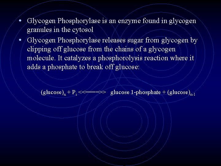  • Glycogen Phosphorylase is an enzyme found in glycogen granules in the cytosol