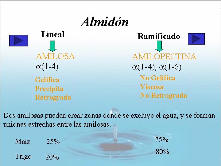 Almidón Lineal AMILOSA (1 -4) Gelifica Precipita Retrograda Ramificado AMILOPECTINA (1 -4), (1 -6) Almidón Lineal AMILOSA (1 -4) Gelifica Precipita Retrograda Ramificado AMILOPECTINA (1 -4), (1 -6)