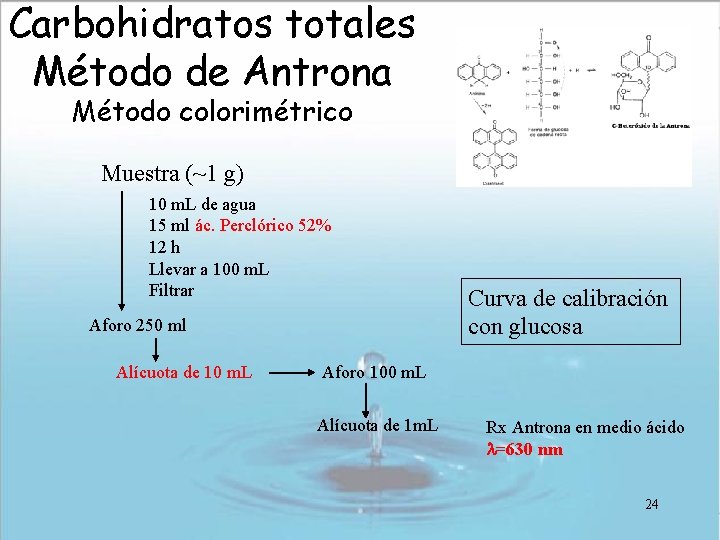 Carbohidratos totales Método de Antrona Método colorimétrico Muestra (~1 g) 10 m. L de Carbohidratos totales Método de Antrona Método colorimétrico Muestra (~1 g) 10 m. L de