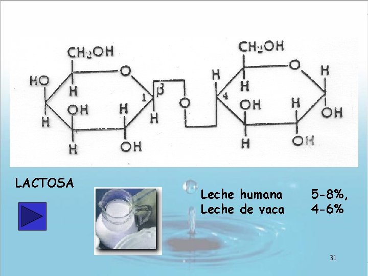 LACTOSA Leche humana Leche de vaca 5 -8%, 4 -6% 31 LACTOSA Leche humana Leche de vaca 5 -8%, 4 -6% 31