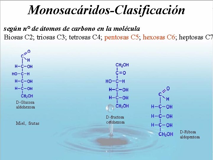 Monosacáridos-Clasificación según n° de átomos de carbono en la molécula Biosas C 2; triosas Monosacáridos-Clasificación según n° de átomos de carbono en la molécula Biosas C 2; triosas