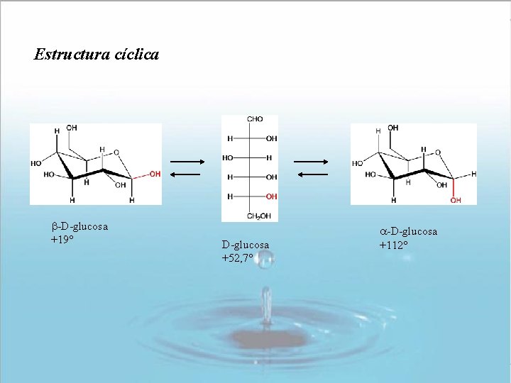 Estructura cíclica -D-glucosa +19° D-glucosa +52, 7° -D-glucosa +112° Estructura cíclica -D-glucosa +19° D-glucosa +52, 7° -D-glucosa +112°