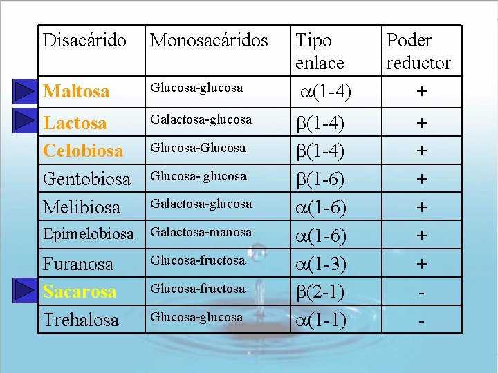 Disacárido Monosacáridos Maltosa Glucosa-glucosa Lactosa Celobiosa Gentobiosa Melibiosa Galactosa-glucosa Glucosa-Glucosa- glucosa Galactosa-glucosa Epimelobiosa Galactosa-manosa Disacárido Monosacáridos Maltosa Glucosa-glucosa Lactosa Celobiosa Gentobiosa Melibiosa Galactosa-glucosa Glucosa-Glucosa- glucosa Galactosa-glucosa Epimelobiosa Galactosa-manosa