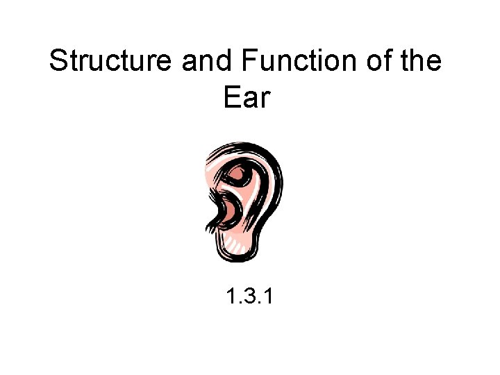 Structure and Function of the Ear 1. 3. 1 
