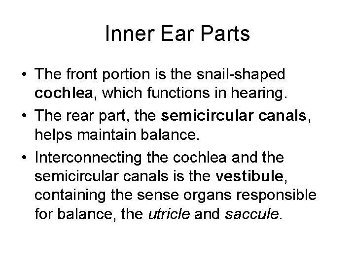 Inner Ear Parts • The front portion is the snail-shaped cochlea, which functions in