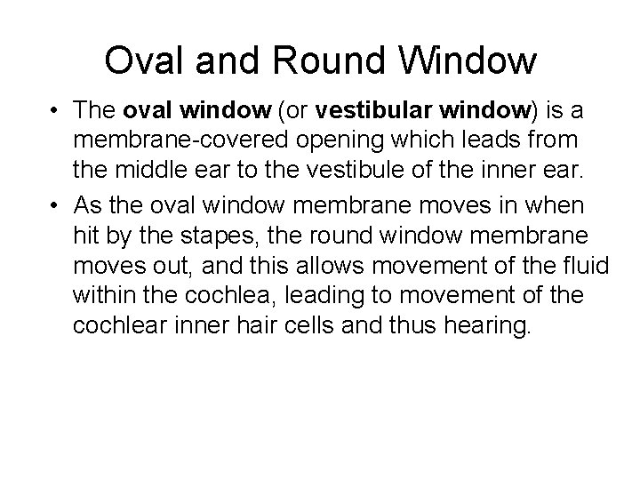 Oval and Round Window • The oval window (or vestibular window) is a membrane-covered