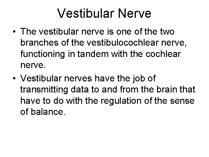 Vestibular Nerve • The vestibular nerve is one of the two branches of the