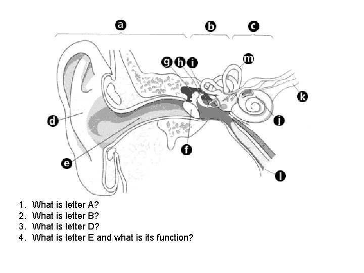 1. 2. 3. 4. What is letter A? What is letter B? What is