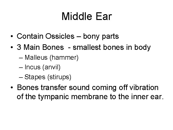 Middle Ear • Contain Ossicles – bony parts • 3 Main Bones - smallest