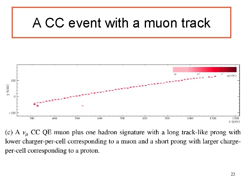 A CC event with a muon track 23 