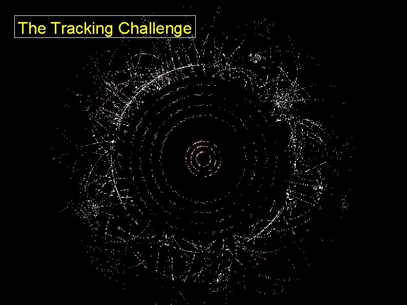 The Tracking Challenge 48 