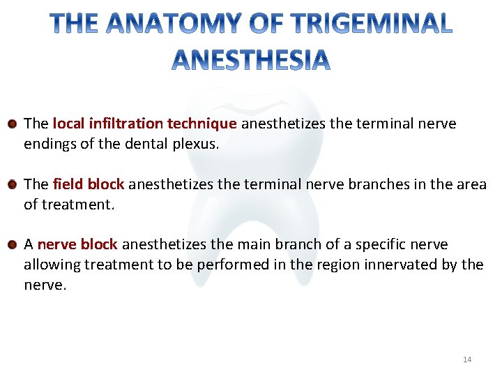 The local infiltration technique anesthetizes the terminal nerve endings of the dental plexus. The