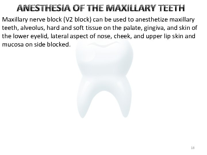 ANESTHESIA OF THE MAXILLARY TEETH Maxillary nerve block (V 2 block) can be used