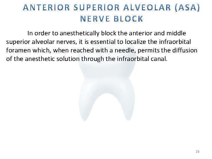 In order to anesthetically block the anterior and middle superior alveolar nerves, it is