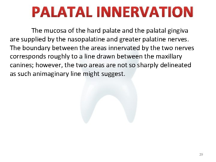 PALATAL INNERVATION The mucosa of the hard palate and the palatal gingiva are supplied