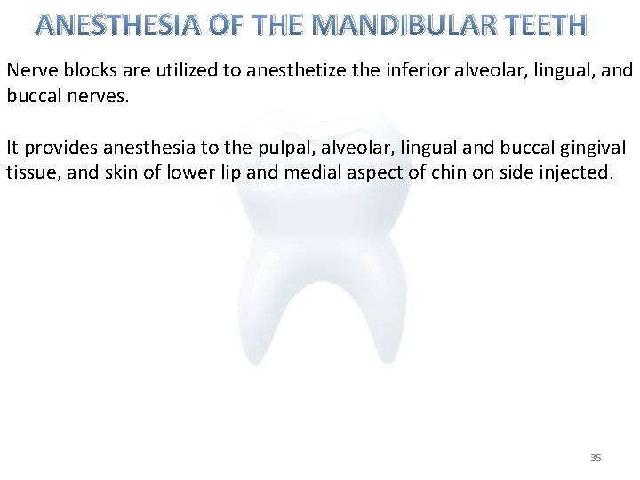 ANESTHESIA OF THE MANDIBULAR TEETH Nerve blocks are utilized to anesthetize the inferior alveolar,
