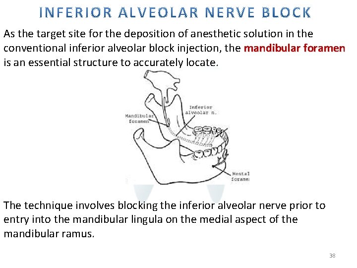 As the target site for the deposition of anesthetic solution in the conventional inferior