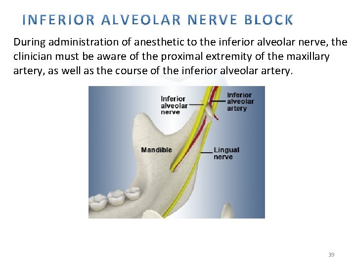 During administration of anesthetic to the inferior alveolar nerve, the clinician must be aware