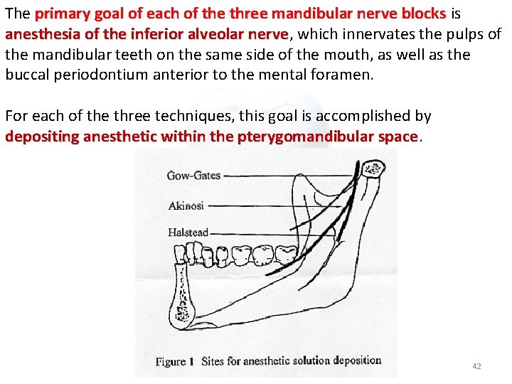 The primary goal of each of the three mandibular nerve blocks is anesthesia of