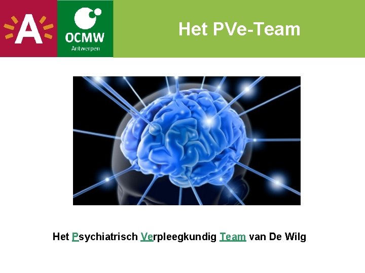 Het PVe-Team Het Psychiatrisch Verpleegkundig Team van De Wilg 