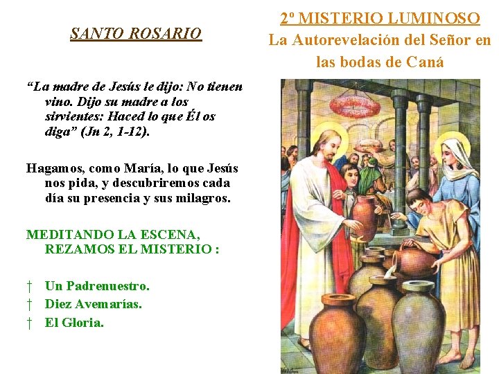 SANTO ROSARIO “La madre de Jesús le dijo: No tienen vino. Dijo su madre