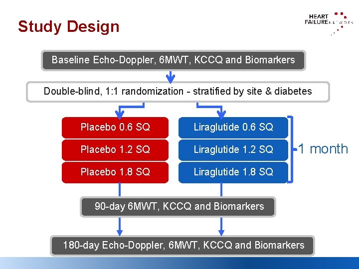 Study Design Baseline Echo-Doppler, 6 MWT, KCCQ and Biomarkers Double-blind, 1: 1 randomization -