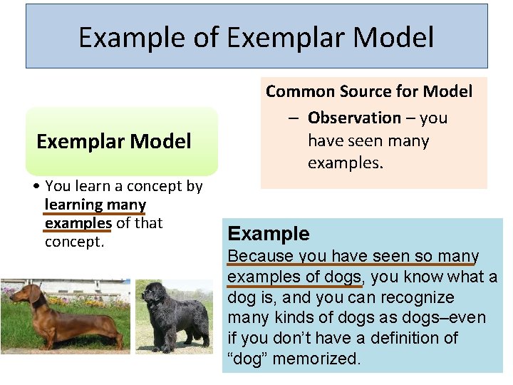 Example of Exemplar Model • You learn a concept by learning many examples of