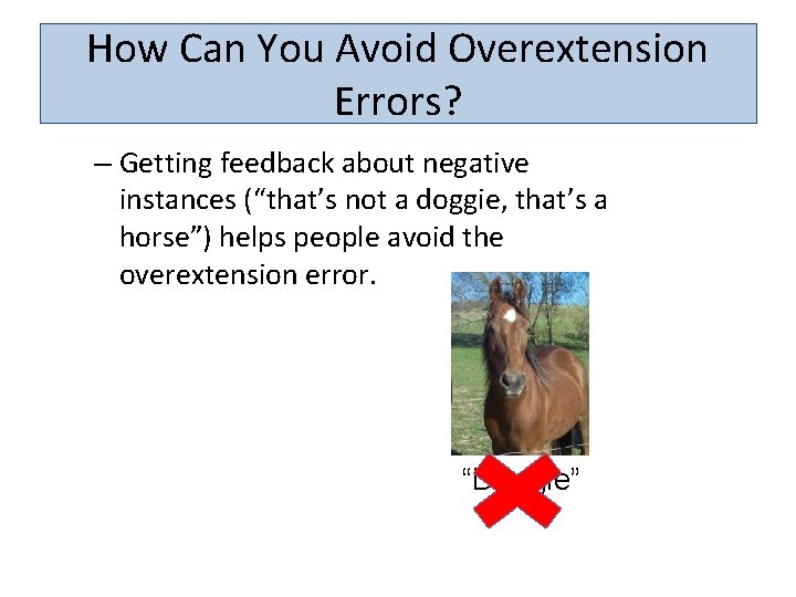 How Can You Avoid Overextension Errors? – Getting feedback about negative instances (“that’s not